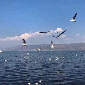 江晓萍吴刚沈悦
